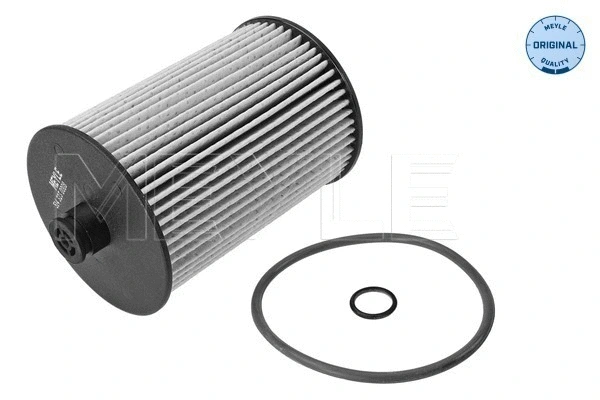 Fuel Filter (514 323 0008)