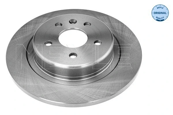 Brake Disc (615 523 0027)