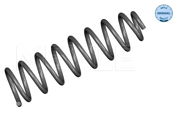 Suspension Spring (16-14 739 0007)