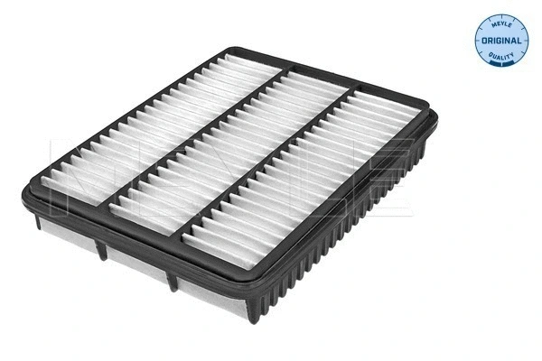 Air Filter (30-12 321 0022)