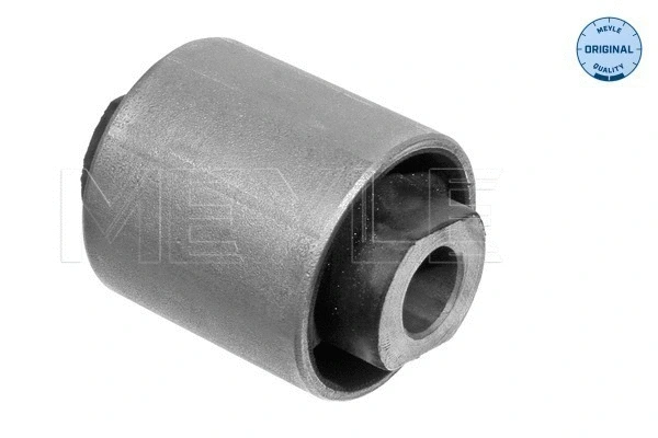 Mounting, control/trailing arm (100 407 0090)