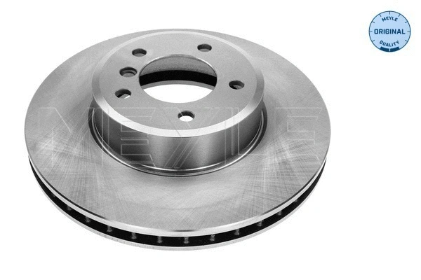 Brake Disc (315 521 3060)