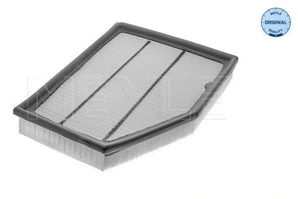 Air Filter (312 321 0003)