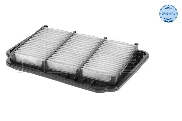 Air Filter (29-12 321 0002)