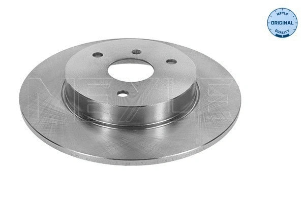 Brake Disc (015 521 2077)