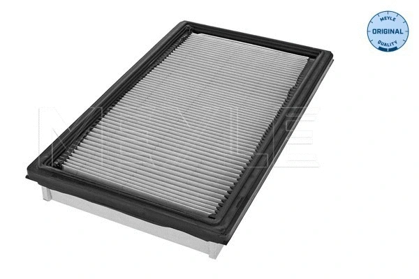 Air Filter (35-12 321 0005)