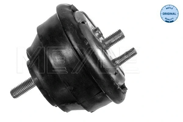Mounting, engine (300 118 1124)