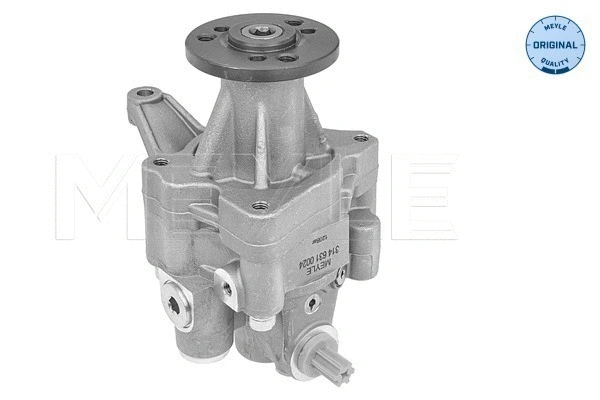 Hydraulic Pump, steering (314 631 0024)