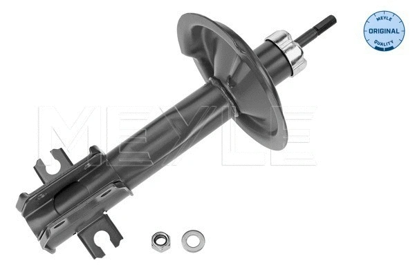 Shock Absorber (226 613 0011)