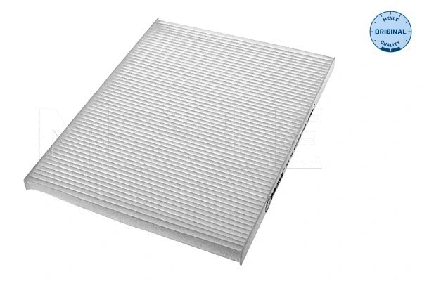 Filter, cabin air (612 319 0009)