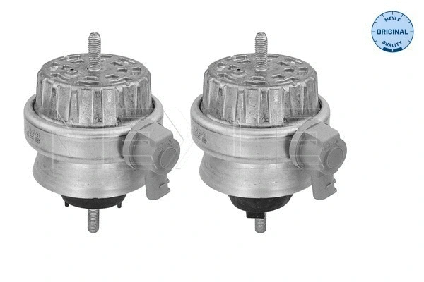 Mounting, engine