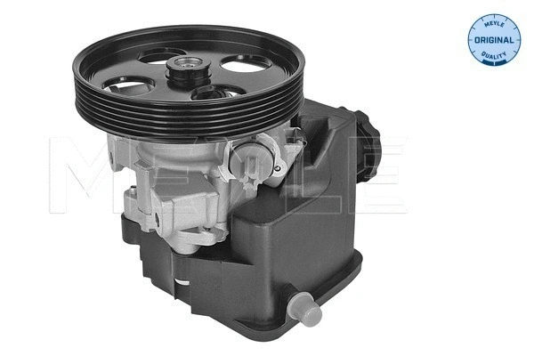 Hydraulic Pump, steering (014 631 0013)