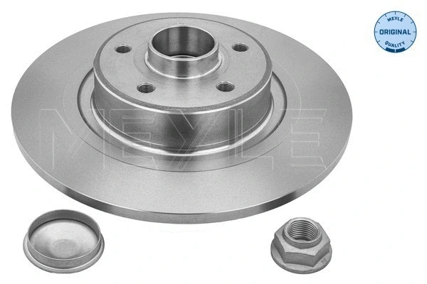 Brake Disc (16-15 523 4118)