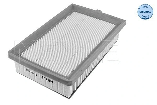 Air Filter (212 321 0027)