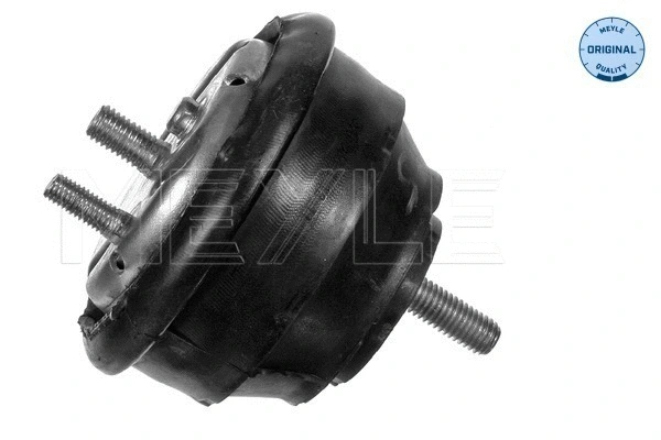 Mounting, engine (300 118 1123)