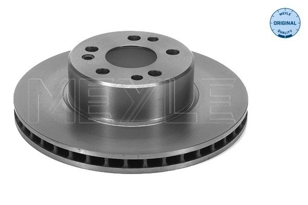 Brake Disc (015 521 2022)