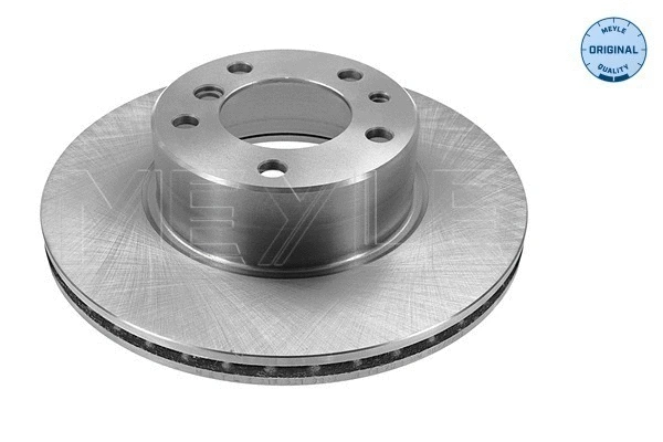 Brake Disc (315 521 3008)