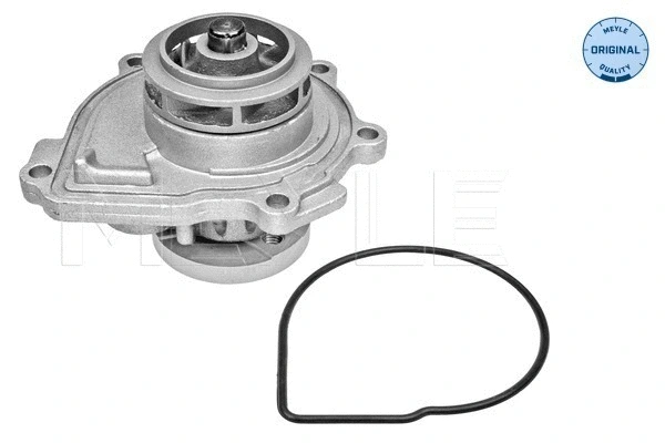 Water Pump, engine cooling (613 220 0004)