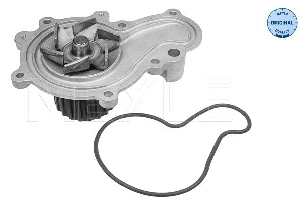 Water Pump, engine cooling (44-13 220 0000)
