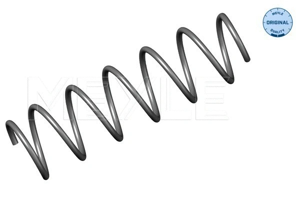 Suspension Spring (214 639 0002)