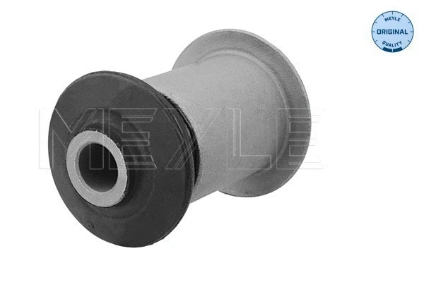 Mounting, control/trailing arm
