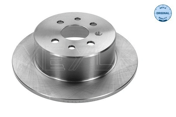 Brake Disc (615 523 6009)