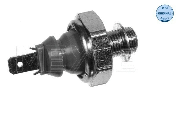 Oil Pressure Switch (100 919 0031)