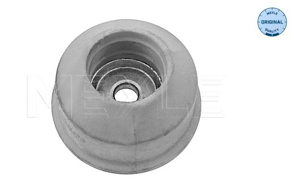 Suspension Strut Support Mount (100 641 0007)