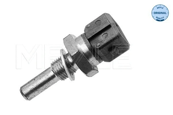 Sensor, coolant temperature (100 906 0008)
