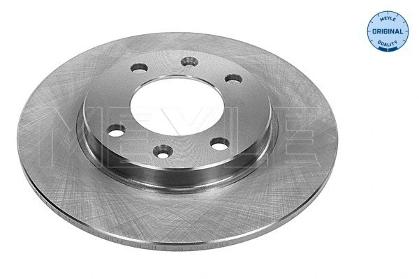 Brake Disc (11-15 523 0010)