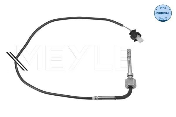 Sensor, exhaust gas temperature (214 800 0056)