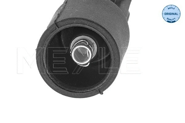 Plug, spark plug