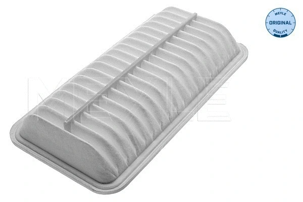Air Filter (30-12 321 0004)
