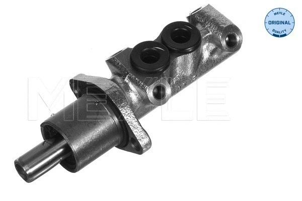 Brake Master Cylinder (100 611 0034)