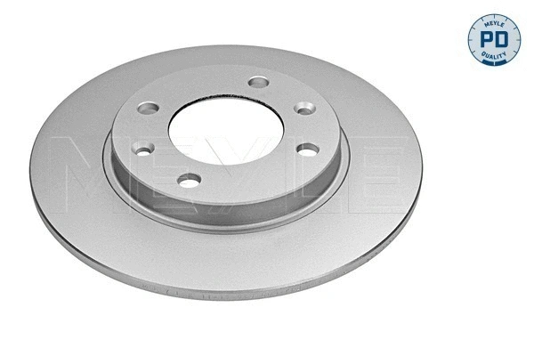 Brake Disc (11-15 523 0010/PD)