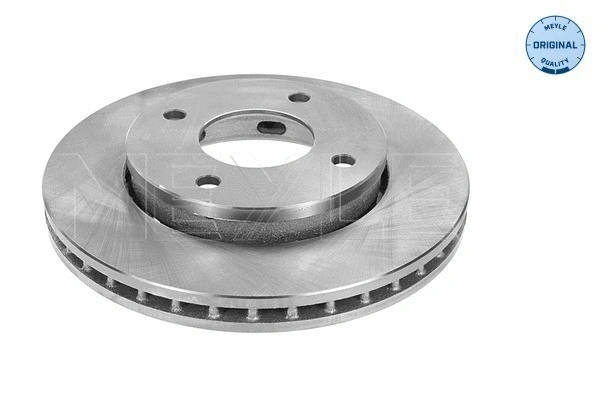 Brake Disc (015 521 2088)