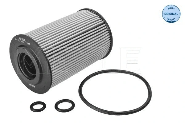 Oil Filter (100 322 0011)