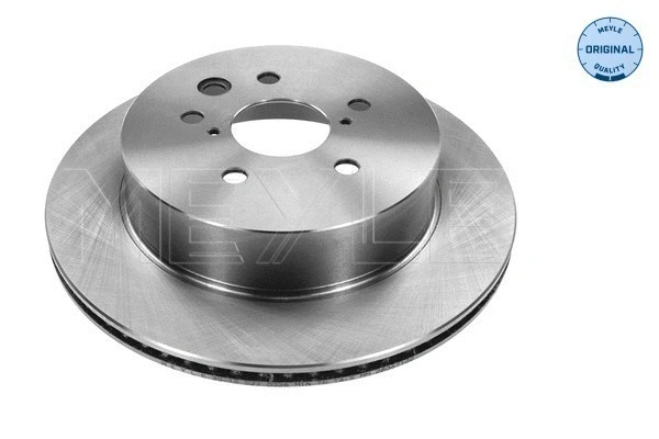 Brake Disc (30-15 523 0036)