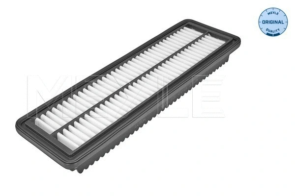 Air Filter (37-12 321 0036)