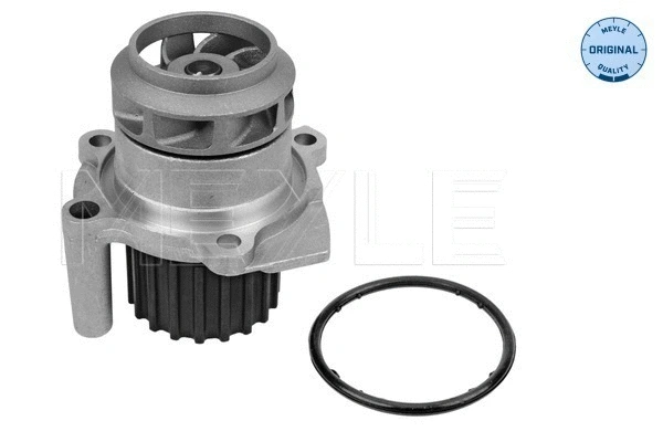 Water Pump, engine cooling (113 012 0057)