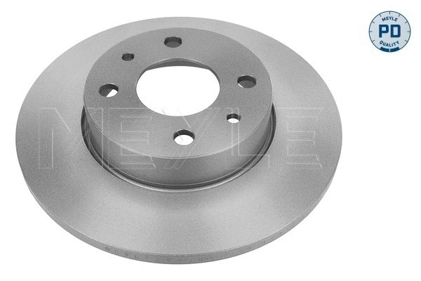 Brake Disc (215 523 0005/PD)