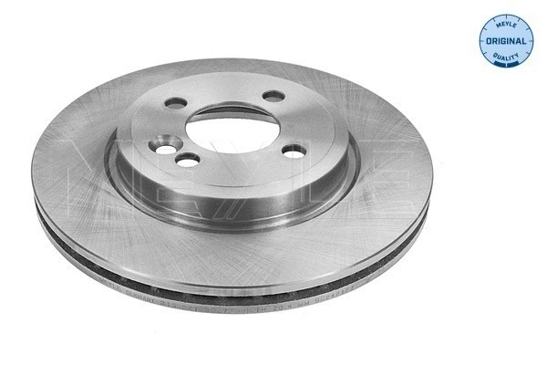 Brake Disc (315 521 0024)