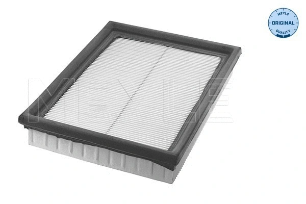 Air Filter (612 083 4581)