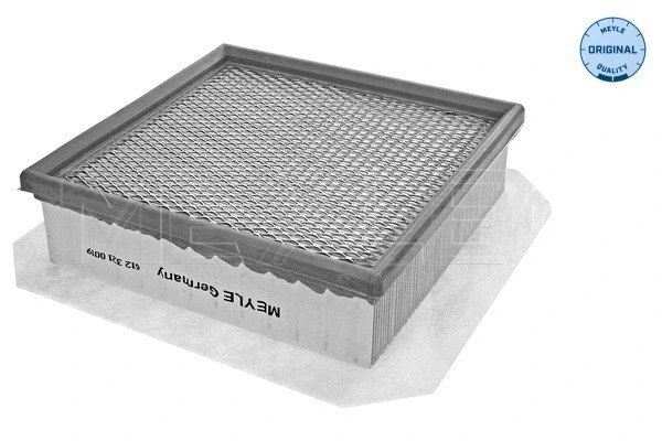 Air Filter (612 321 0019)