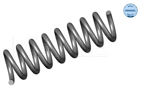 Suspension Spring (014 739 0001)