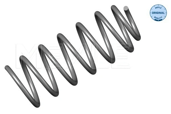 Suspension Spring (100 639 0009)