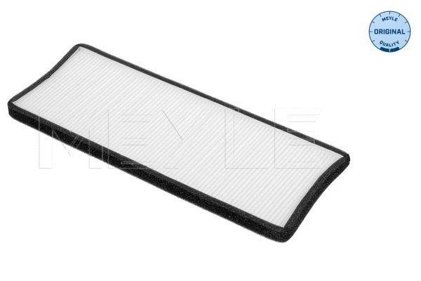Filter, cabin air (612 319 0001)