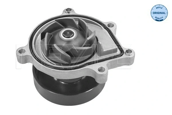 Water Pump, engine cooling (313 220 0020)