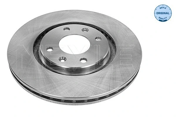 Brake Disc (11-15 521 0013)