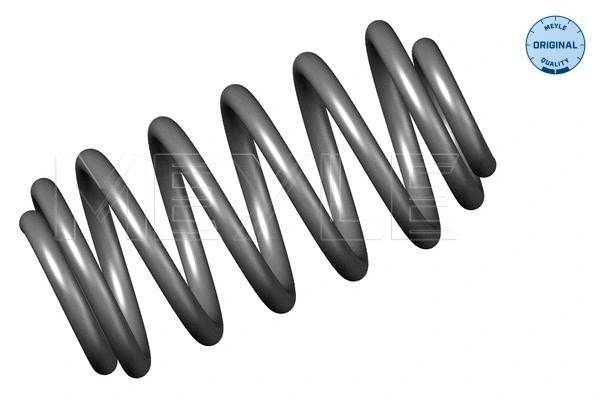 Suspension Spring (014 739 0018)